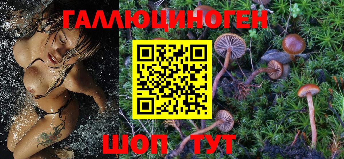 Изобильный  Галлюциногенные грибы мухоморы  где купить наркотик  Галлюциногенные грибы ЛСД  Вход с VPN 