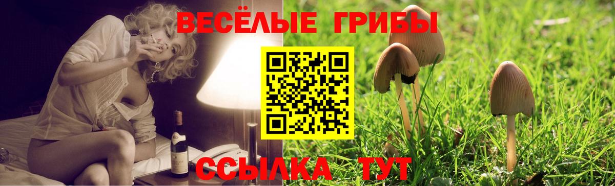 Галлюциногенные грибы Psilocybine cubensis Изобильный